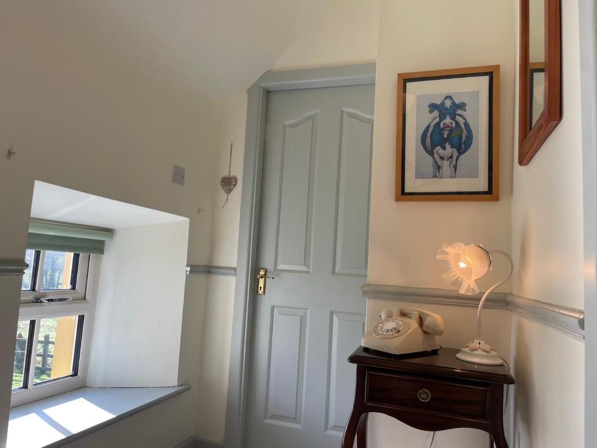 Mai'S Cottage Suite - Charming Holiday Rental Kilmallock Экстерьер фото